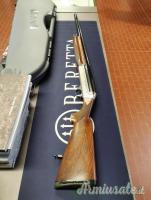 Benelli Pasion 12
