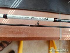 Vendo 2 canne da pesca
