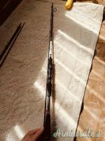 Vendo 2 canne da pesca