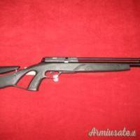 Gamo Coyote 5.5