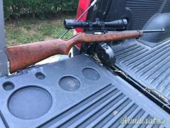 Ruger | Sturm 10/22 .22 Long Rifle