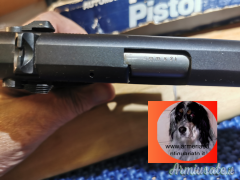 Smith&Wesson 3904 9x21mm IMI