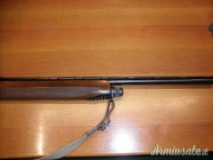 Beretta Urika 12