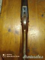 doppietta cani esterni raffaele pinto