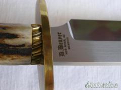 Bowie di Devon Beaver 