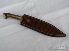 Bowie di Devon Beaver 