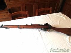Enfield Trainers  cal. 22 modificati Terni