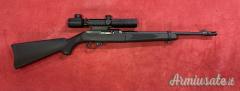 Ruger | Sturm 10/22 Takedowns .22 Long Rifle
