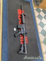 ArmaLite ar15 defensive sporting .223 Remington