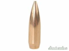 Palle NOSLER  COMPETITION  .30 168 grs HPBT match