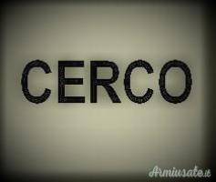 CERCO per SIG P 210/5