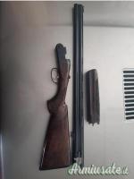Beretta onyx 20