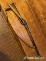 CarabiniUberti