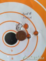 Ottica NCSTAR 10-40x50 ed anelli Warne Maxima 30 mm in acciaio