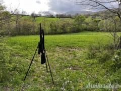Blaser R8 .308 Winchester