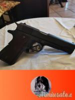 Remington Ithaca 1911 bellica