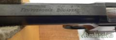 ROTH STEYR 1907