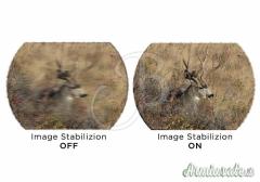 Sig Sauer Binocolo Zulu 10x30 Stabilizzato -FDE
