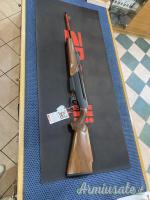 Benelli endurance wood .308 Winchester