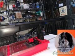 SIG-Sauer asg 4000 .308 Winchester