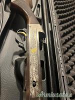 Benelli pasion 12