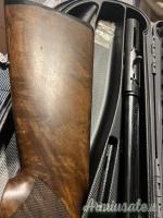 Benelli pasion 12