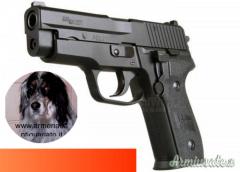 Sig Sauer P228 cal.9x21