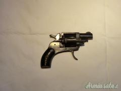 Bulldog .380 Revolver