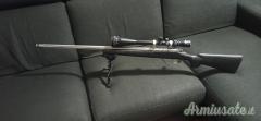 Remington 700 vs fs .308 Winchester