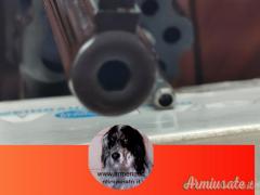Smith & Wesson 17.4 .22 LR Long Rifle