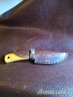 Coltello caccia evisceratore Bartolini
