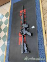Ruger | Sturm ar556 .223 Remington (CANNA DA 14,5