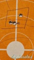 Sauer 90 .243 Winchester