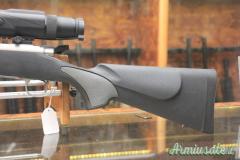 Remington 700 .22-250 Remington