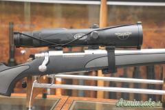 Remington 700 .22-250 Remington