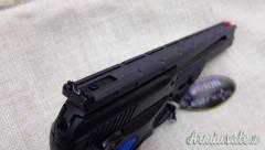 Beretta neos .22 LR Long Rifle