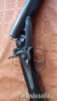Accuracy Cani esterni  12