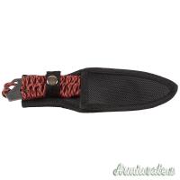 Coltello, 