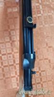 ArmaLite Olimpic  4.5/.177