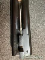 Doppietta Aless Toschi Cani esterni cal 12