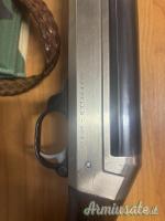 Benelli Raffaello special 12