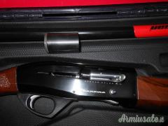 Armsan phenoma 12