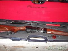 Armsan phenoma 12