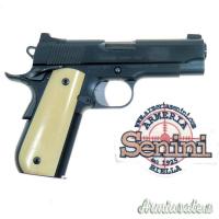 Kimber Classic Carry Pro .45 ACP
