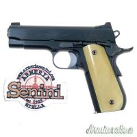Kimber Classic Carry Pro .45 ACP