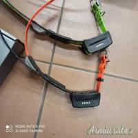 GARMIN KT15 E KT10 COLLARI USATI