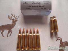 VENDO BOSSOLI CAL. 224 WEATHERBY MAGNUM VENDO BOSSOLI CAL. 224 WEATHERBY MAGNUM
