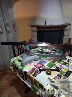 ...Altro | Non elencato mistral/maestrale 12