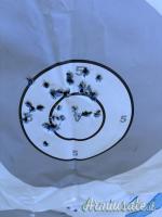 Remington 700 Long range .308 Winchester