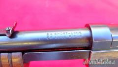 Winchester modello 1906 22lr